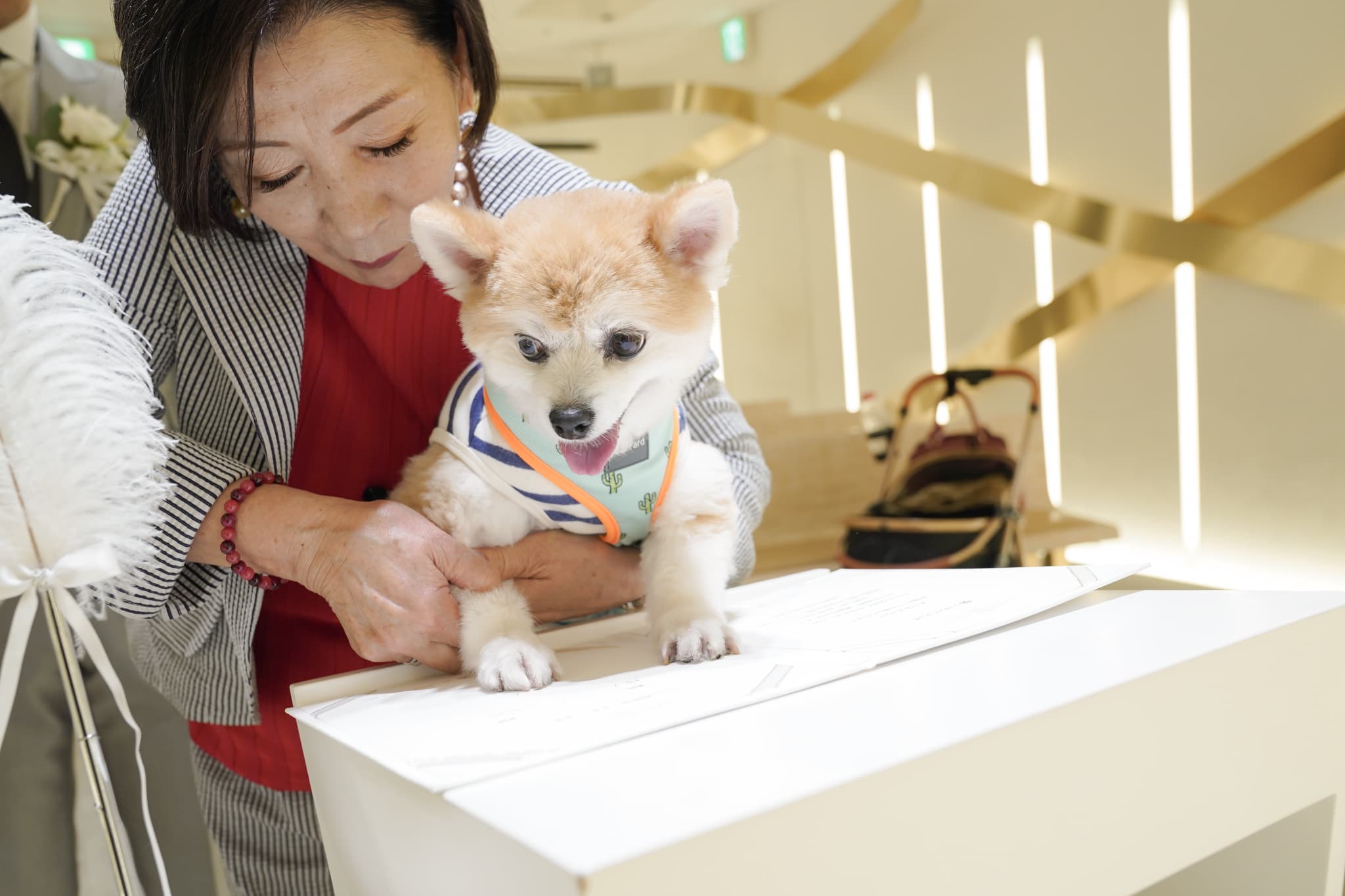 わんちゃんと一緒におひろめフォトを♪